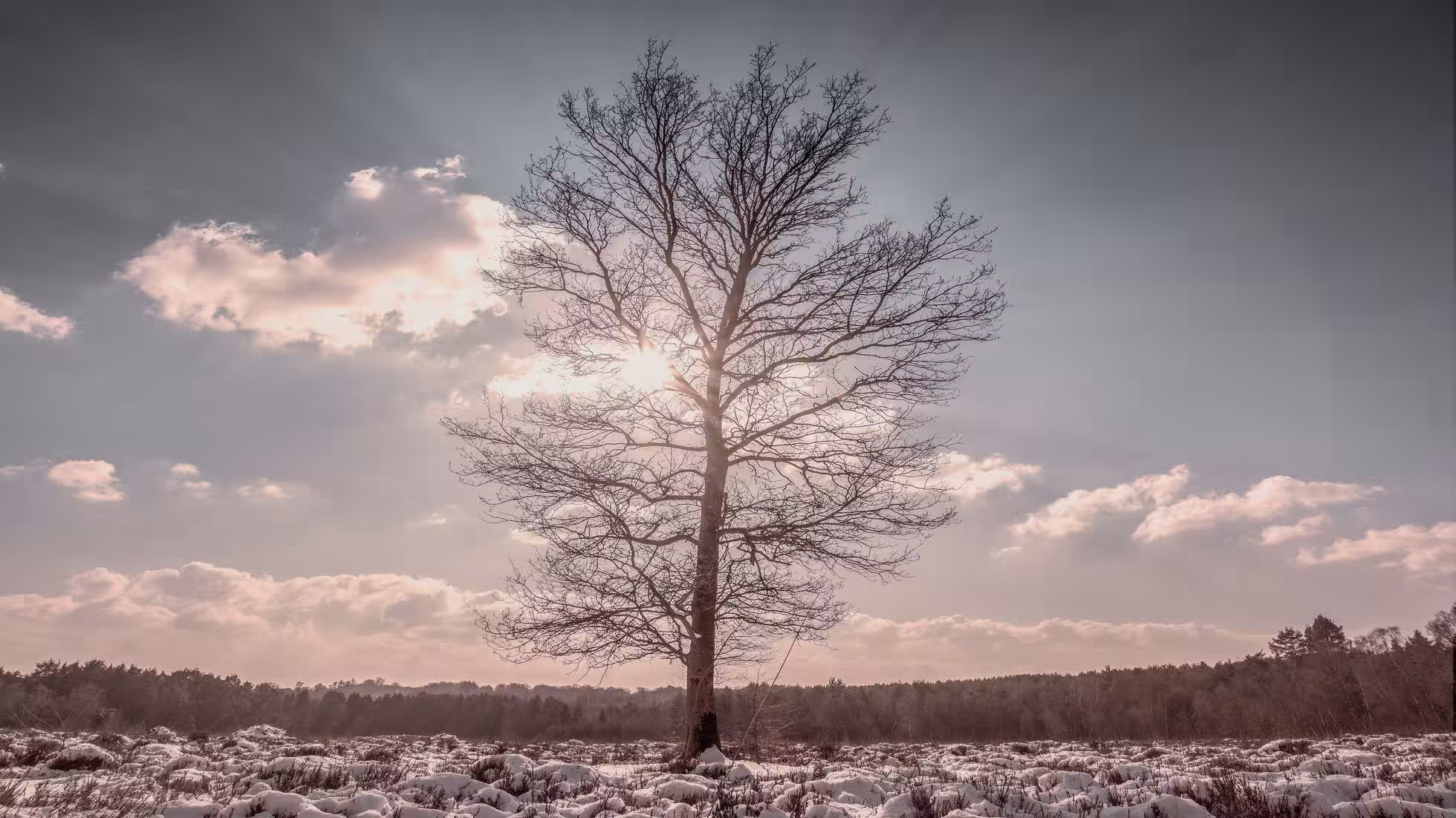 RR-Хотя наша форма является корпоративной, наше отношение — партнерским