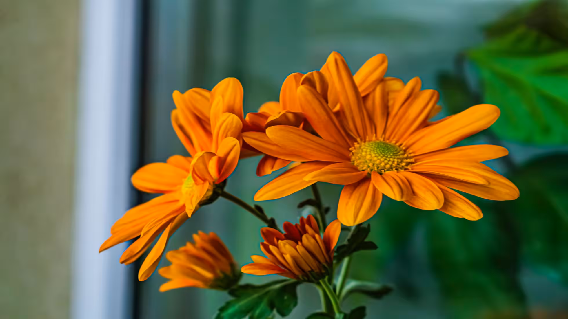 RR-New Year's Day Meditation at Jingshan Temple