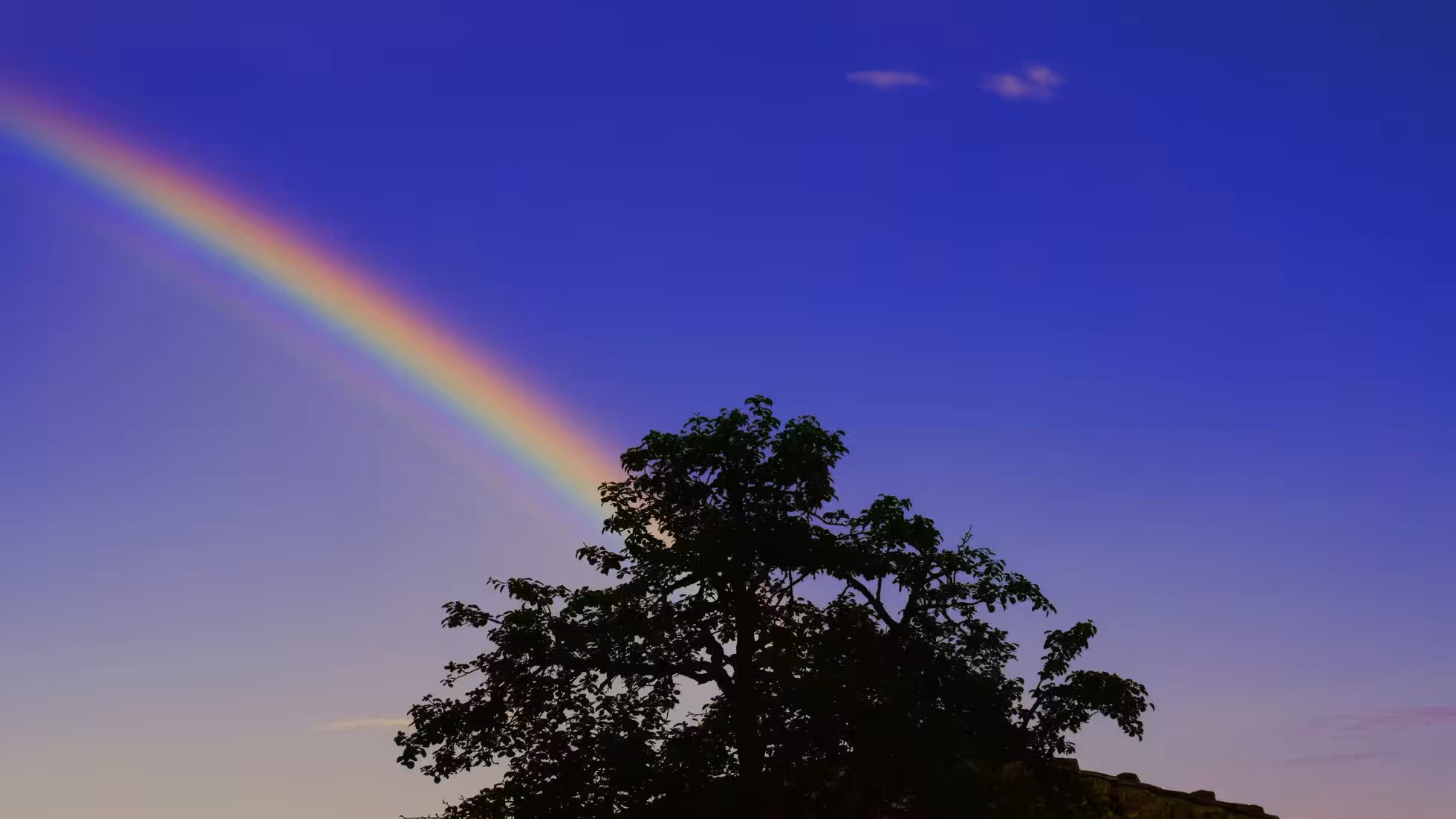 RR—Agriculture 2030: Scientists’ Gift to New Farmers