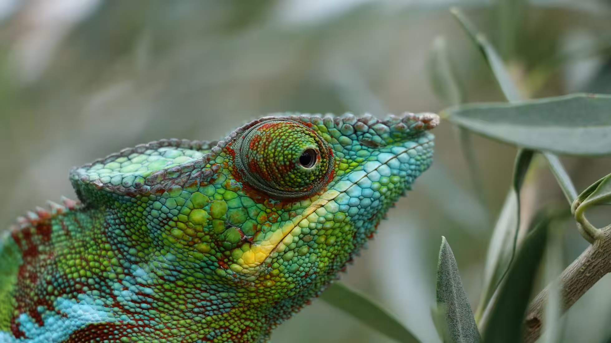 RR-3年後、失業に直面するかもしれない—準備はできていますか？