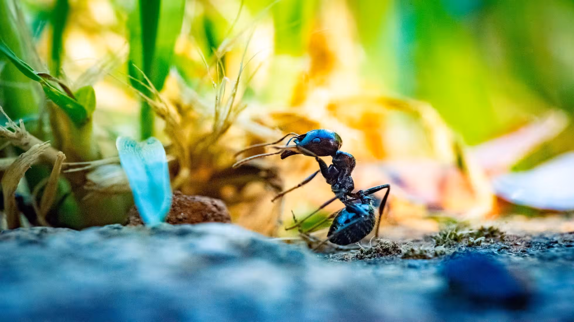 RR-大伯二舅未婚夫