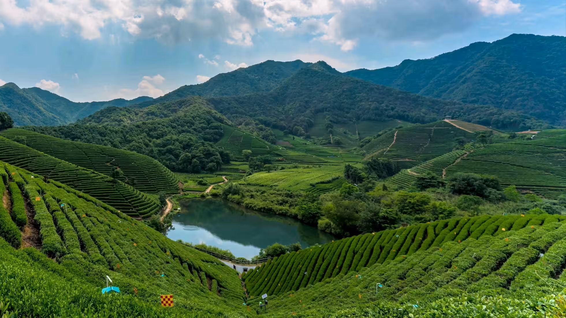 RR-Four Seasons in Longwu